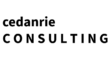 company logo removebg preview