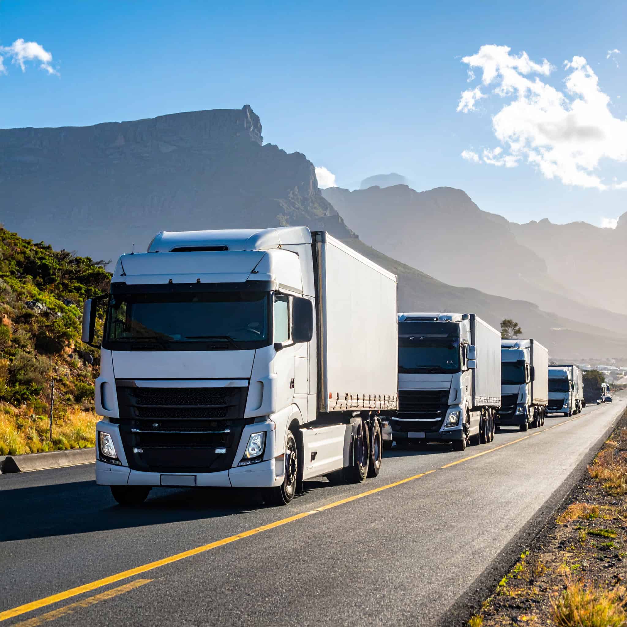 fleet of trucks driving with mountains background