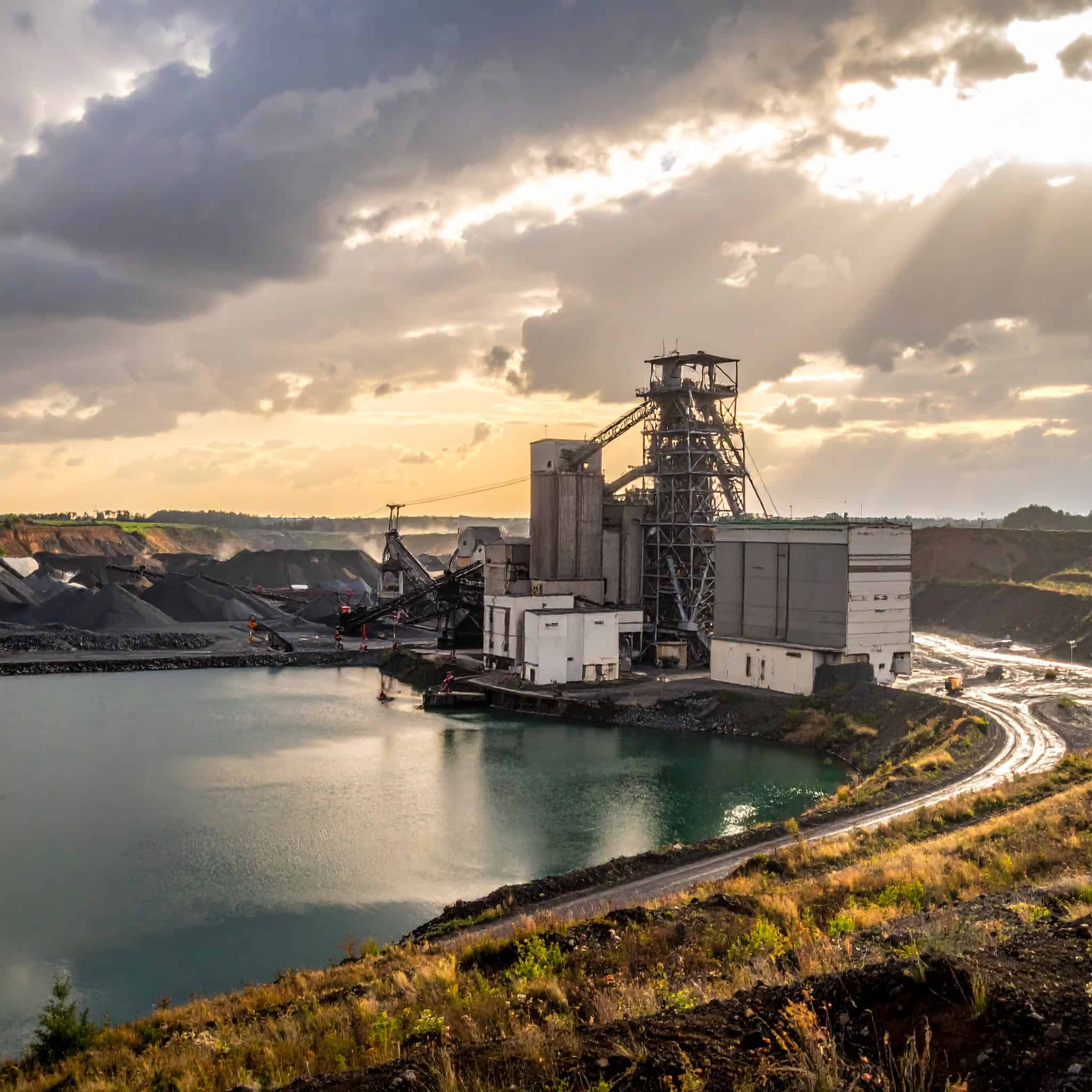 plant mine